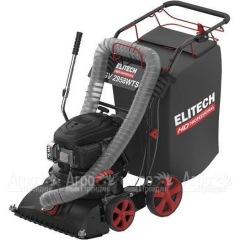 Пылесос садовый бензиновый Elitech HD GV 2958WTS (E1608.008.00) в Ульяновске
