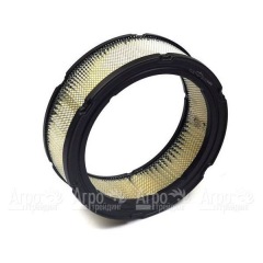 Воздушный фильтр Briggs&Stratton 00002 в Ульяновске