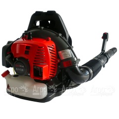 Воздуходувка бензиновая EVOline BLG 42 BP в Ульяновске