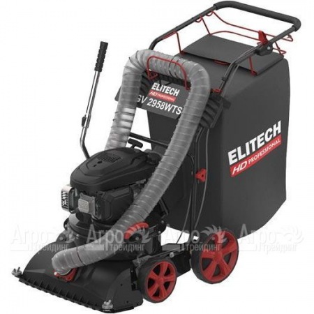 Пылесос садовый бензиновый Elitech HD GV 2958WTS (E1608.008.00) в Ульяновске