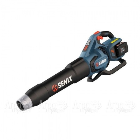 Воздуходувка аккумуляторная Senix BLAX2-M2-EU в Ульяновске