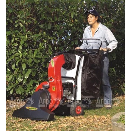 Agrinova AS10D1-SL Профессиональный парковый пылесос/воздуходувка самоходный (без измельчителя, с боковой щеткой) в Ульяновске