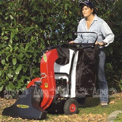 Agrinova AS10D1 Профессиональный парковый пылесос/воздуходувка самоходный (без измельчителя) в Ульяновске