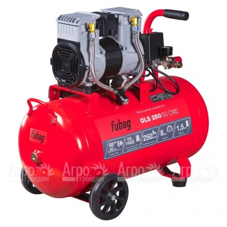 Компрессор безмасляный малошумный Fubag OLS 250/50 CM2 в Ульяновске
