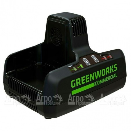 Быстрое зарядное устройство GreenWorks G82C2  в Ульяновске