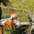 Аккумуляторная пила Stihl MSA 220 C-BQ-14" (без аккумулятора и зарядного устройства) в Ульяновске